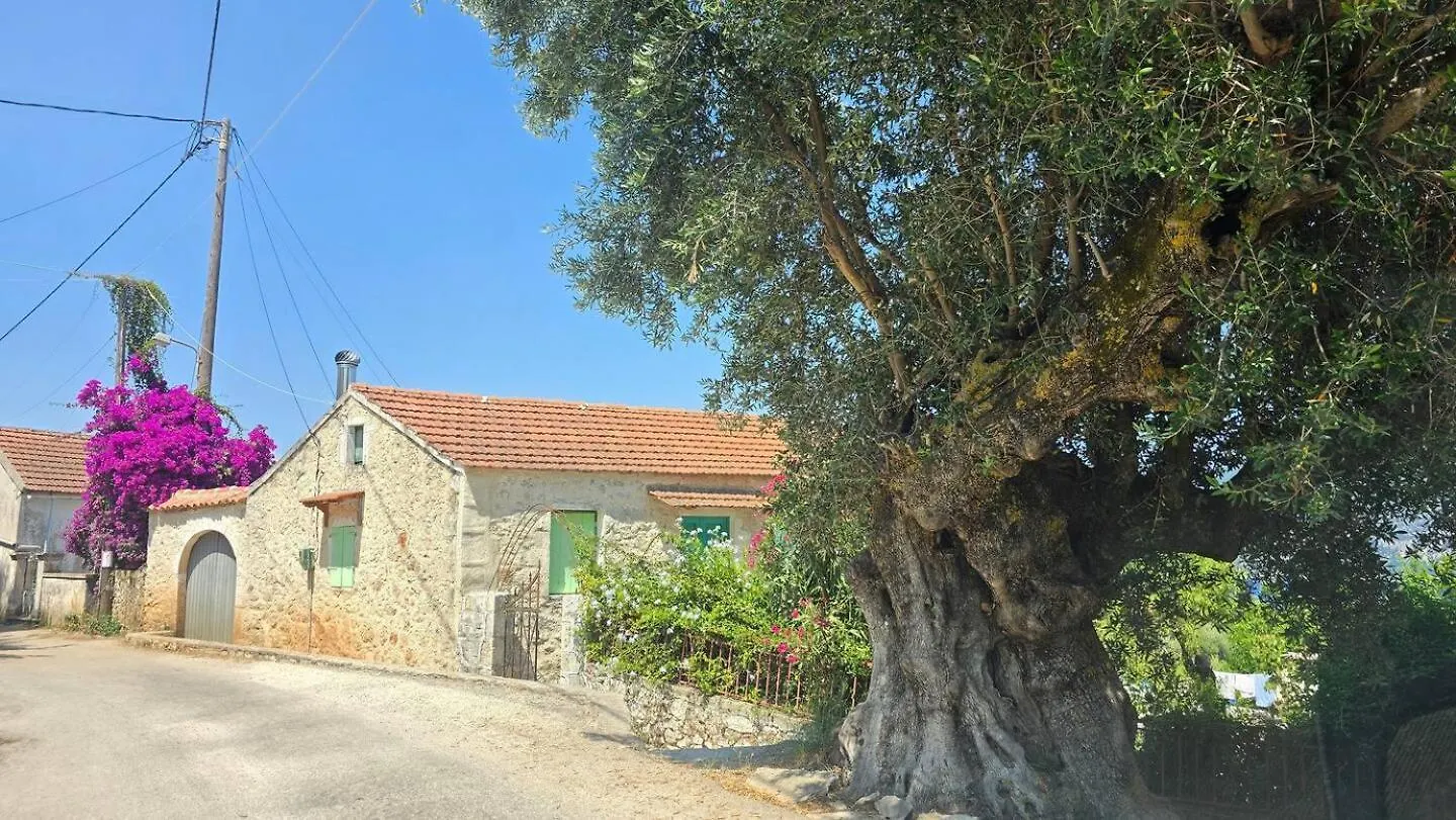 Villa Asteri Katsaráta 0*,